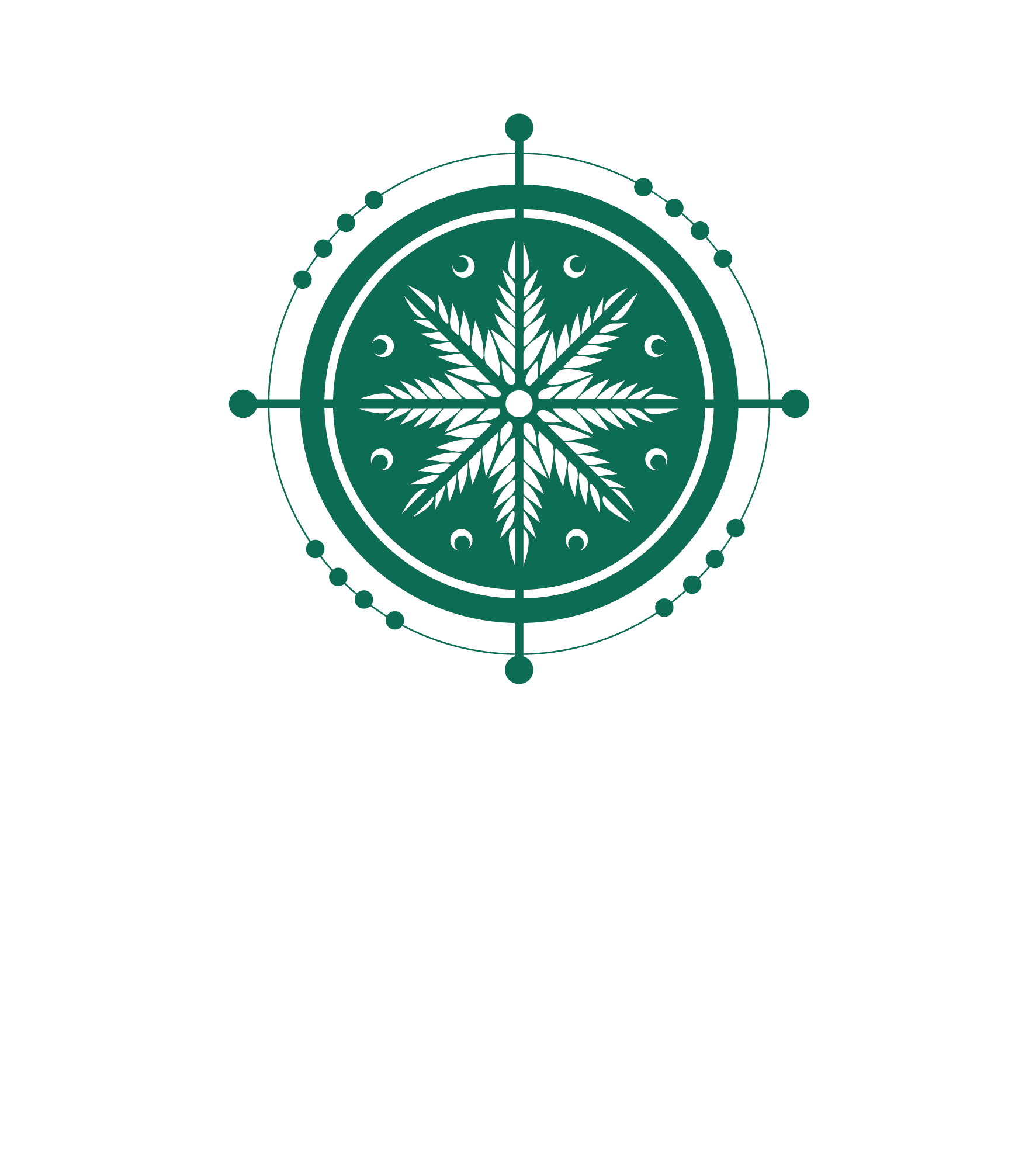 Купала Фест